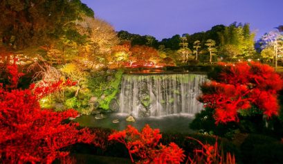 Hotel Gardens - The 10 Most Beautiful Around the World